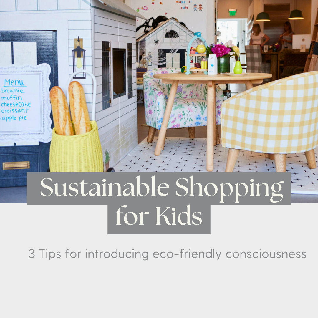 Smart Shopping: Exploring the Impact of Sustainable Choices for a Better Future!