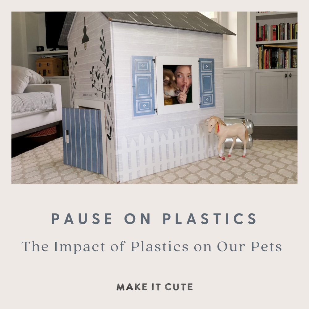 Press Pause on Plastics: The Impact of Plastics on Pets