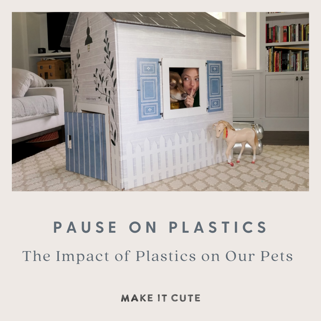 Press Pause on Plastics: The Impact of Plastics on Pets